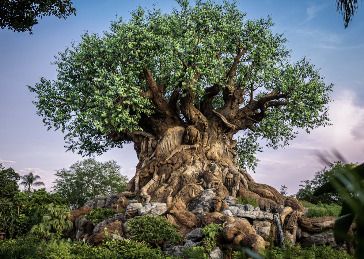 Tree-of-life-Animal-Kingdom-Park